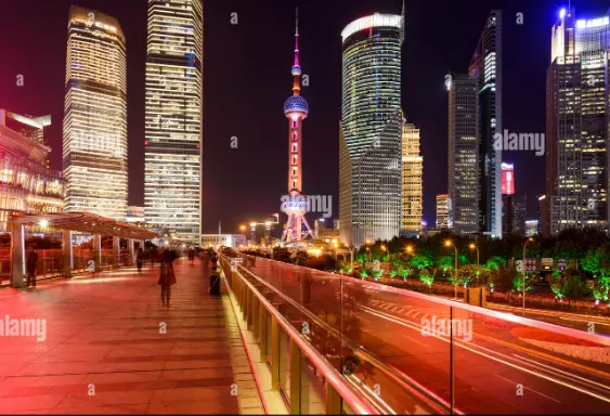 🔥 闸北公园深夜慢跑绿道：市北高新白领搞钱女孩的隐秘能量补给